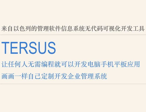 畫畫一樣開發(fā)軟件 Tersus讓任何人可以無代碼開發(fā)手機電腦軟件